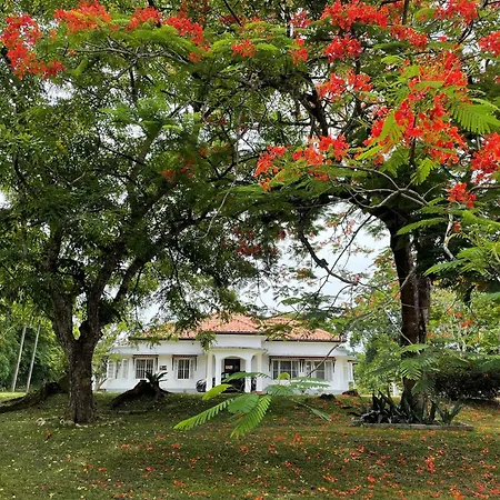 Chandana1941 Ambalangoda  Exterior photo